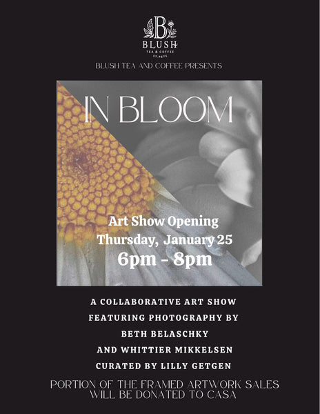 In Bloom Art Show Opening