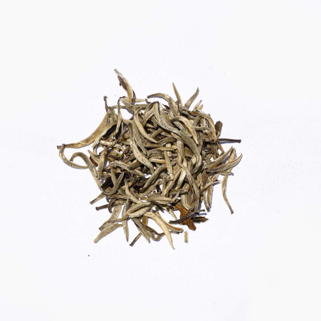 Silver Needle - Infused Tea Company